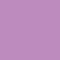 lilac orchid