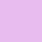 wild orchid