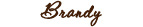 Champagne font